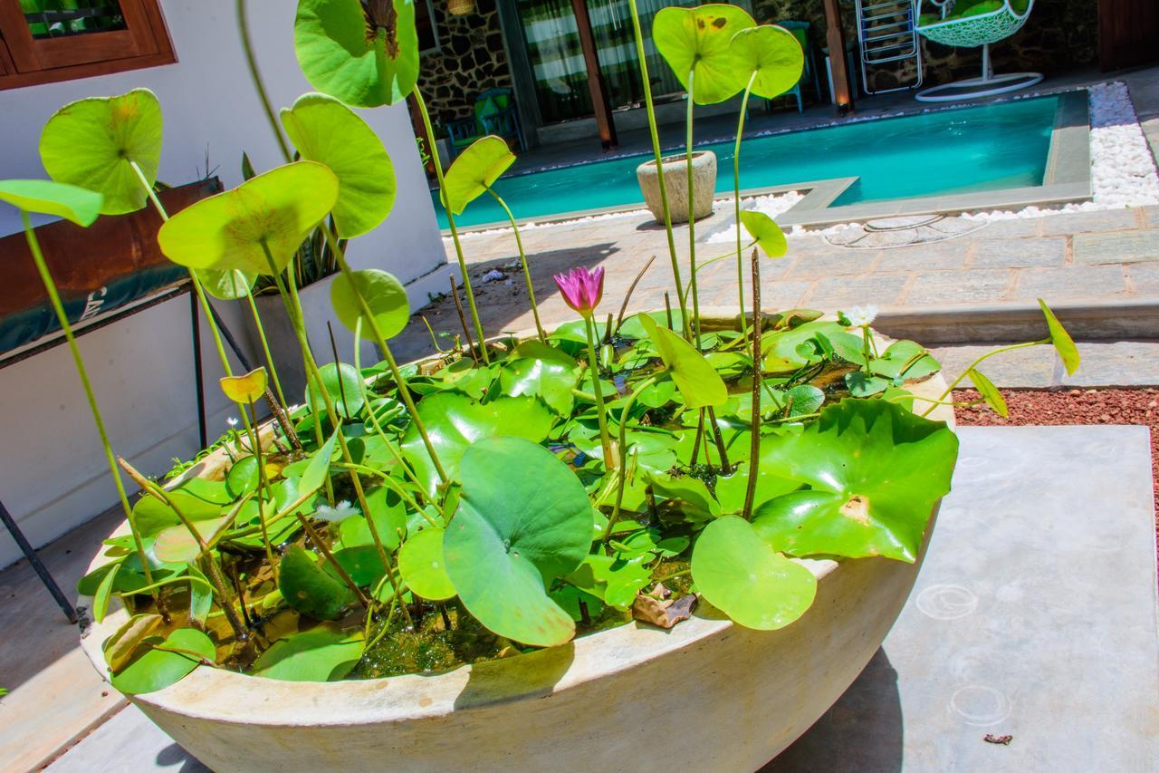 Rock Elephant Villa Hikkaduwa Bagian luar foto